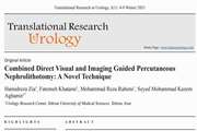 Combined Direct Visual and Imaging Guided Percutaneous Nephrolithotomy: A Novel Technique